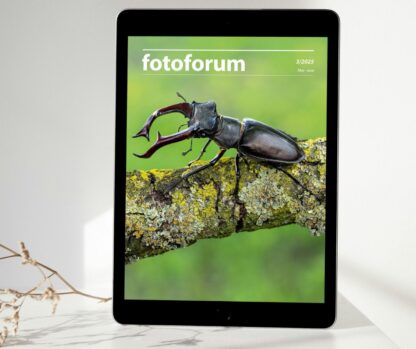 fotoforum Halbjahres-Abo </br> Bundle Print + Digital – Bild 4