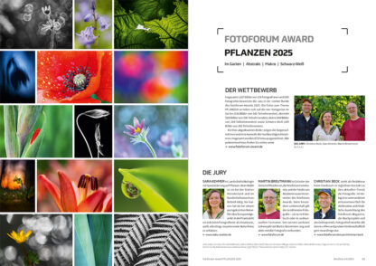 fotoforum Magazin </br> Ausgabe  4/2025 – Bild 9