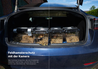 fotoforum Magazin </br> Ausgabe  4/2025 – Bild 4