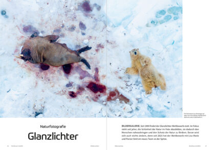 fotoforum Magazin </br> Ausgabe  4/2025 – Bild 3