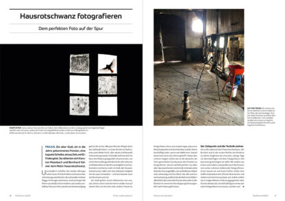 fotoforum Magazin </br> Ausgabe  4/2025 – Bild 5
