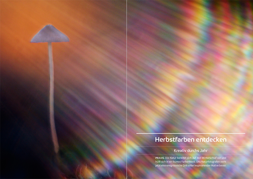 fotoforum Magazin </br> Ausgabe 5/2026 4 fotoforum Magazin </br> Ausgabe 5/2026 – Bild 4