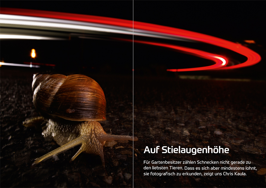fotoforum Magazin </br> Ausgabe 3/2026 6 fotoforum Magazin </br> Ausgabe 3/2026 – Bild 6