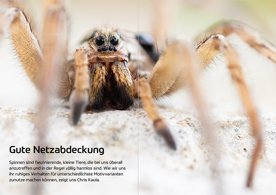 fotoforum Magazin </br> Ausgabe 5/2026 5 fotoforum Magazin </br> Ausgabe 5/2026 – Bild 5