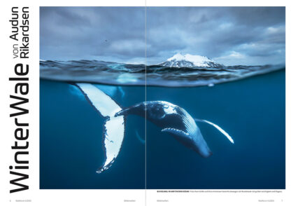 fotoforum Magazin </br> Ausgabe  5/2025 – Bild 2