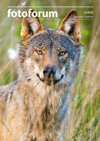 fotoforum Magazin </br> Ausgabe  6/2025