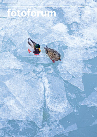 fotoforum Magazin </br> Ausgabe  1/2026