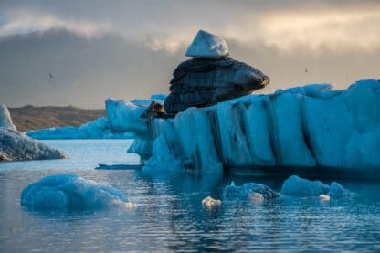 Abendstimmung am Gletscher in Island. Im Vordergrund ist Wasser und große Eisberge. Im Hintergrund sind Berge zu sehen und der graue Himmel, an dem ein Vogel vorbeifliegt. Islands Süden im Spätsommer. Vulkan, Landschaft und Eis.