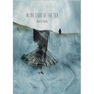 Book cover Wenche Dahle In the light of the see - Im Licht eines Meeres