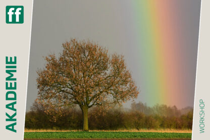 <b>Der Baum – Ein Sinnbild des Lebens</b><br />13.10.2025 - 17.10.2025