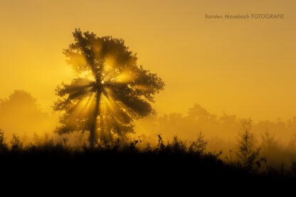 <b>Große Landschaften und kleine Tiere</b><br />01.05.2025 - 04.05.2025 – Bild 2