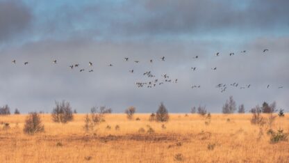 <b>Hohes Venn: Wasser and Moor</b><br />31.10.2025 - 02.11.2025 – Bild 7