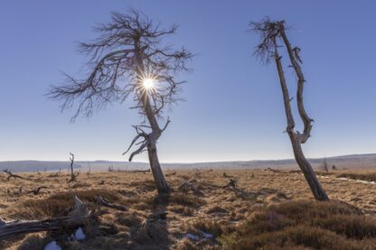 <b>Hohes Venn: Wasser and Moor</b><br />31.10.2025 - 02.11.2025 – Bild 2