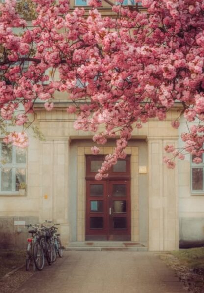 <b>Foto-Talk mit Mary-Ann Weber alias foto.maedchen</b><br />20.05.2025 – Bild 3