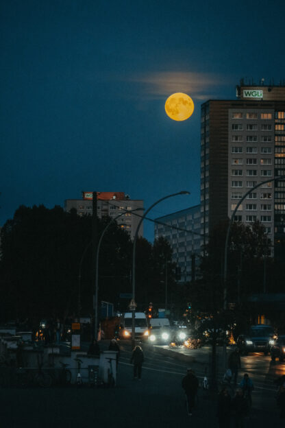<b>Berlin: Summer in the City</b><br />04.07.2025 – Bild 7
