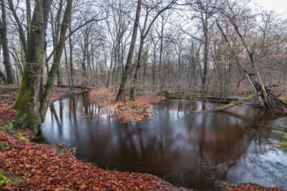 Monat der Naturfotografie: Foto-Walk am Rotbach