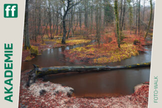 Monat der Naturfotografie: Foto-Walk am Rotbach