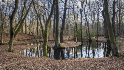 Monat der Naturfotografie: Foto-Walk am Rotbach