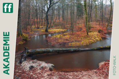 Monat der Naturfotografie: Foto-Walk am Rotbach