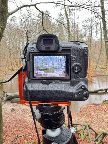 Monat der Naturfotografie: Foto-Walk am Rotbach