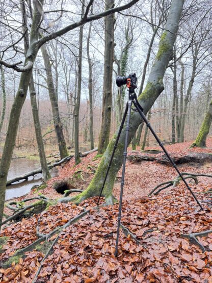 Monat der Naturfotografie: Foto-Walk am Rotbach
