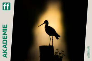 Monat der Naturfotografie: Karsten Mosebach: High-key und Low-key in der Naturfotografie