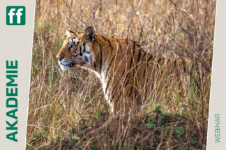 Monat der Naturfotografie: Thorge Berger: Wild World India