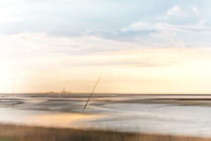 <b>Wattenmeer und mehr</b><br />26. - 28.09.2025 – Bild 2