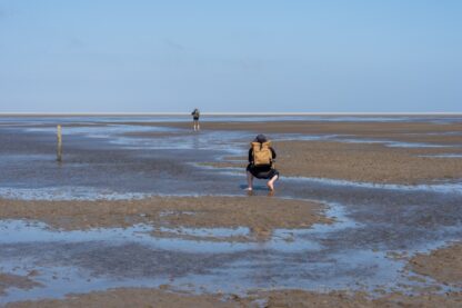 Wattenmeer und mehr