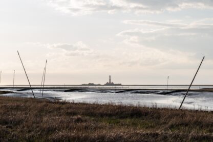 <b>Wattenmeer und mehr</b><br />26. - 28.09.2025 – Bild 3
