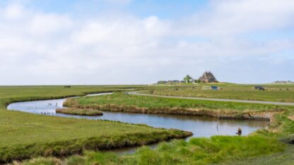 Wattenmeer und mehr