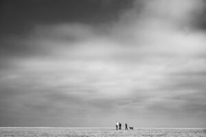 Wattenmeer und mehr