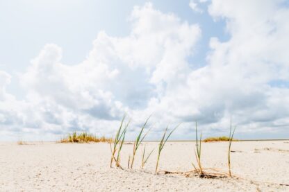 Wattenmeer und mehr