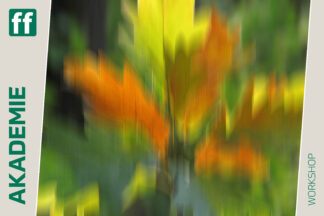 Jutta Engelage: Malerischer Herbst
