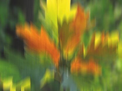 <b>Jutta Engelage: Malerischer Herbst</b><br />03.10.2025 – Bild 2