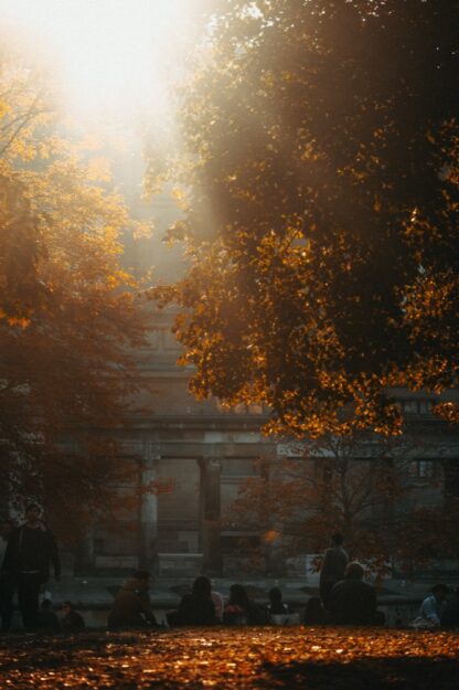 Berlin im Herbst – Von Tageslicht bis City Lights