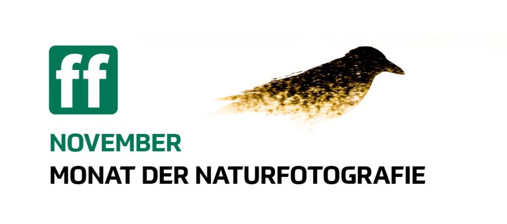 Monat der Naturfotografie 1