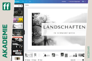Canva: Schnelle Designs und Social Media Posts