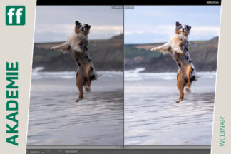 Lightroom & Photoshop – Künstliche Intelligenz für einen effizienten Workflow