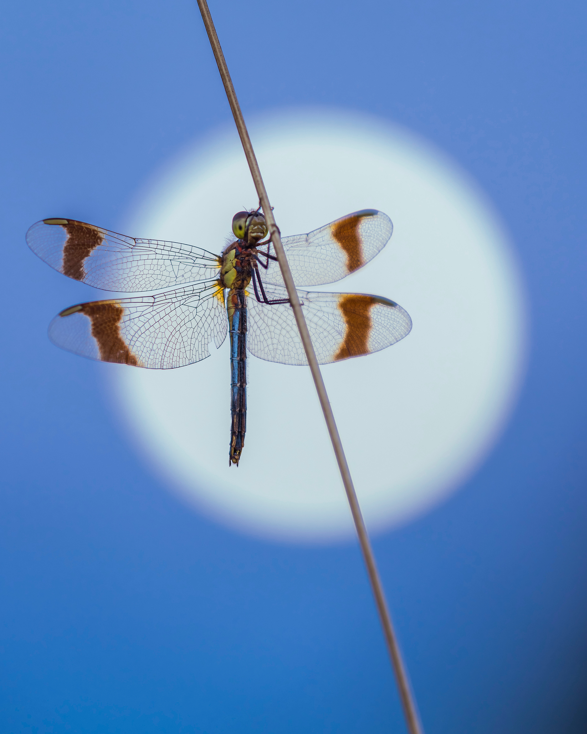 <b>Monat der Naturfotografie – Inspiration Natur mit Willi Rolfes</b><br />04.11.2025 2 Monat der Naturfotografie – Inspiration Natur mit Willi Rolfes