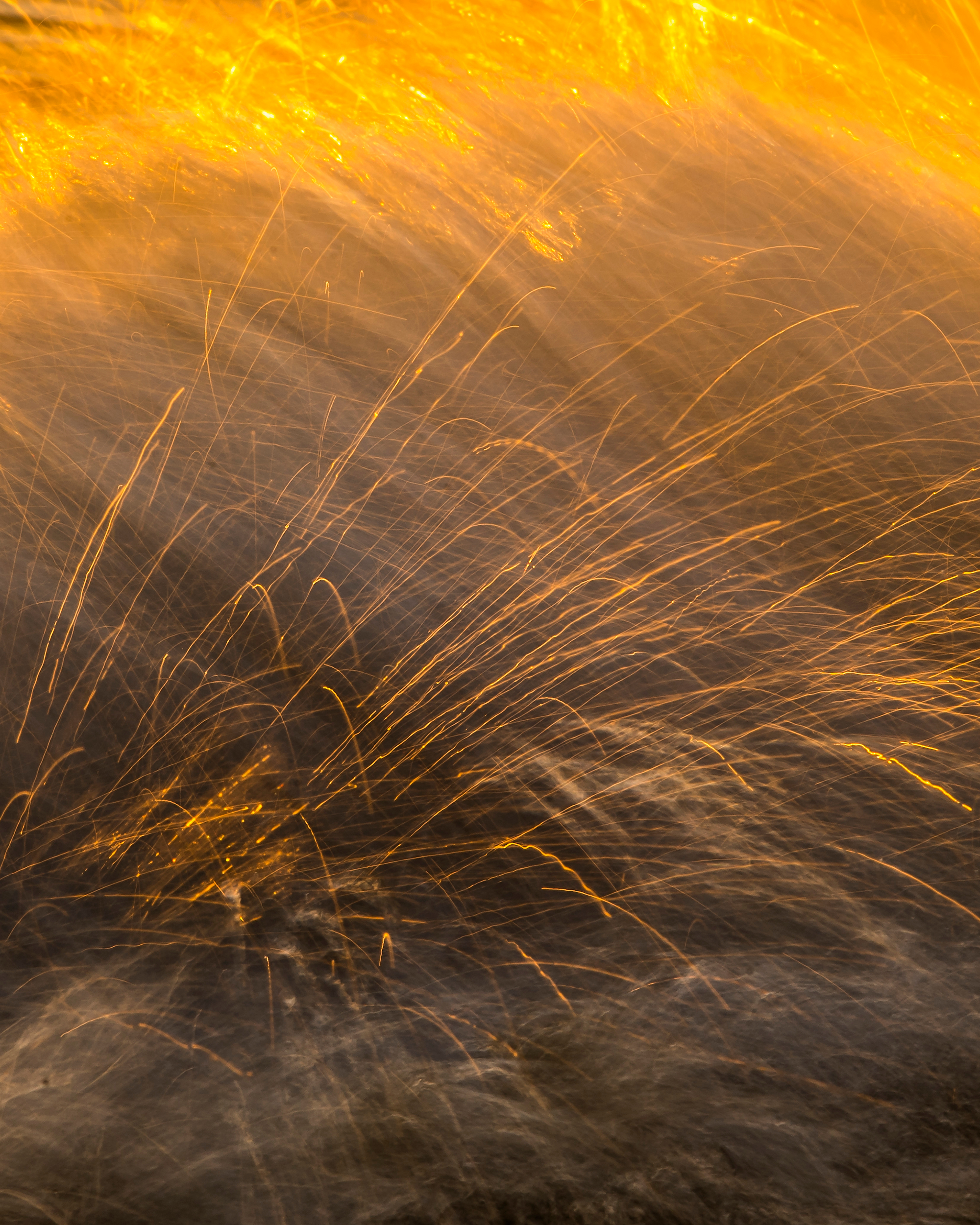 <b>Monat der Naturfotografie – Inspiration Natur mit Willi Rolfes</b><br />04.11.2025 3 Monat der Naturfotografie – Inspiration Natur mit Willi Rolfes