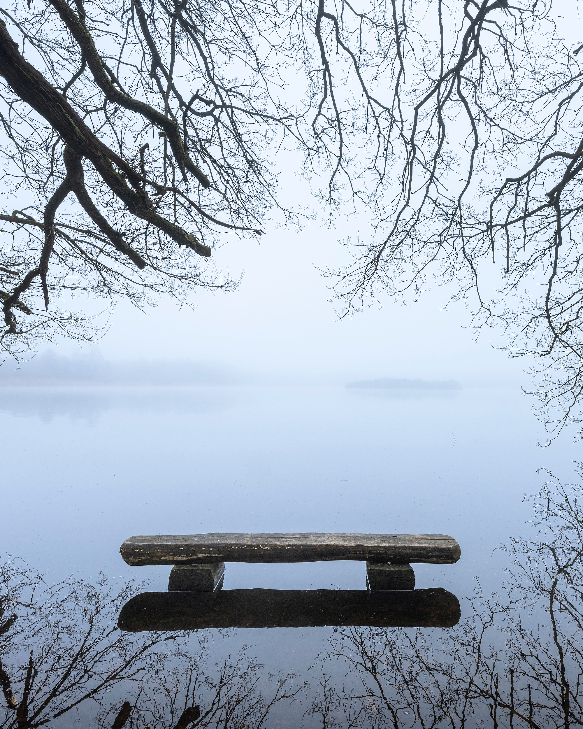<b>Monat der Naturfotografie – Inspiration Natur mit Willi Rolfes</b><br />04.11.2025 7 Monat der Naturfotografie – Inspiration Natur mit Willi Rolfes