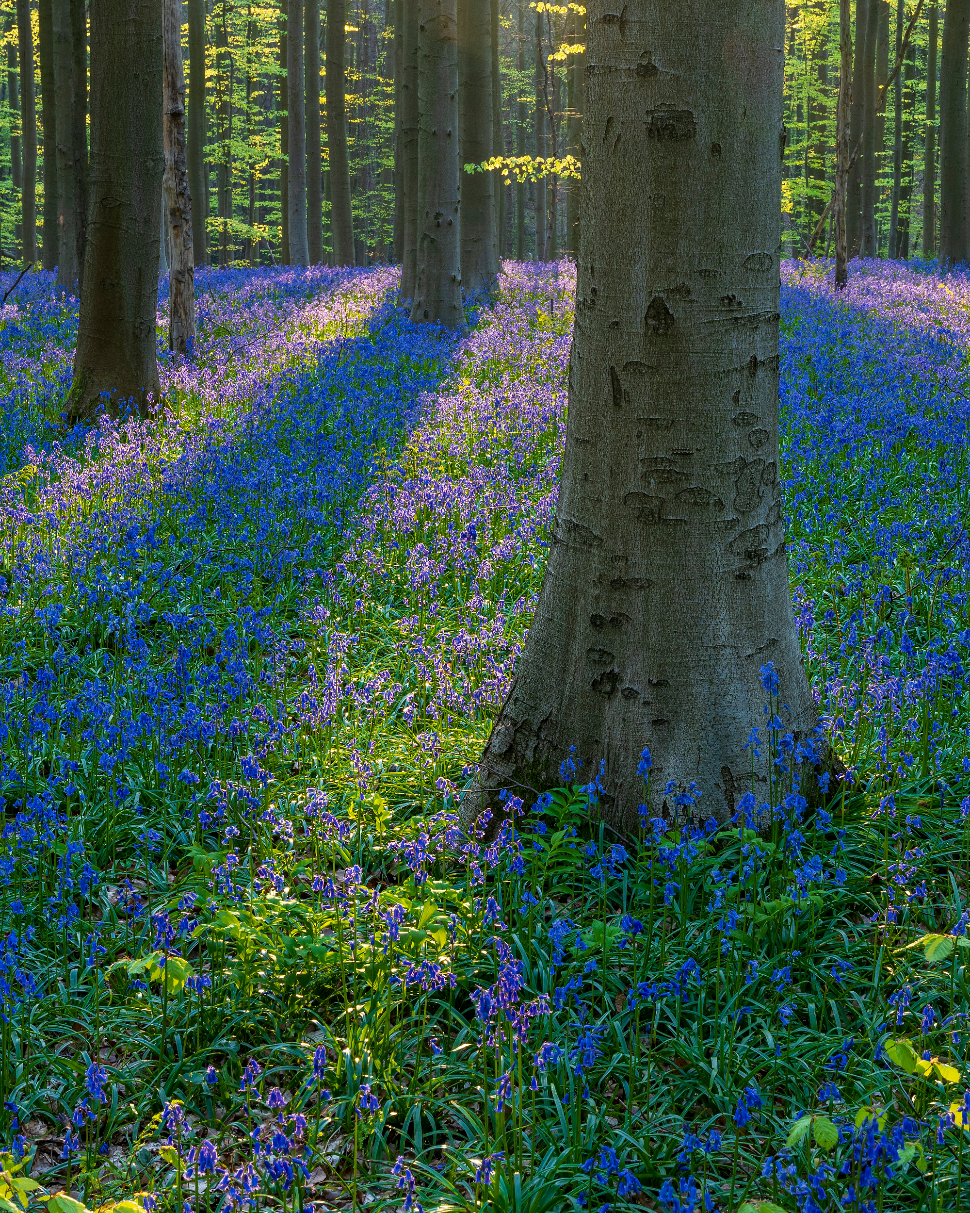 <b>Monat der Naturfotografie – Inspiration Natur mit Willi Rolfes</b><br />04.11.2025 9 Monat der Naturfotografie – Inspiration Natur mit Willi Rolfes