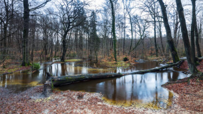 Monat der Naturfotografie: Foto-Walk am Rotbach