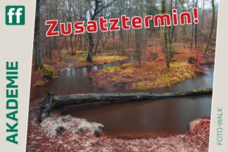 Monat der Naturfotografie: Foto-Walk am Rotbach