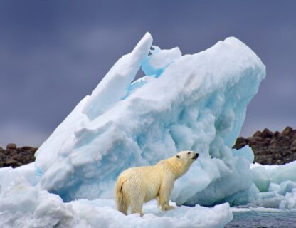 Spitzbergen … Auf Entdeckungstour mit Christian Bruttel