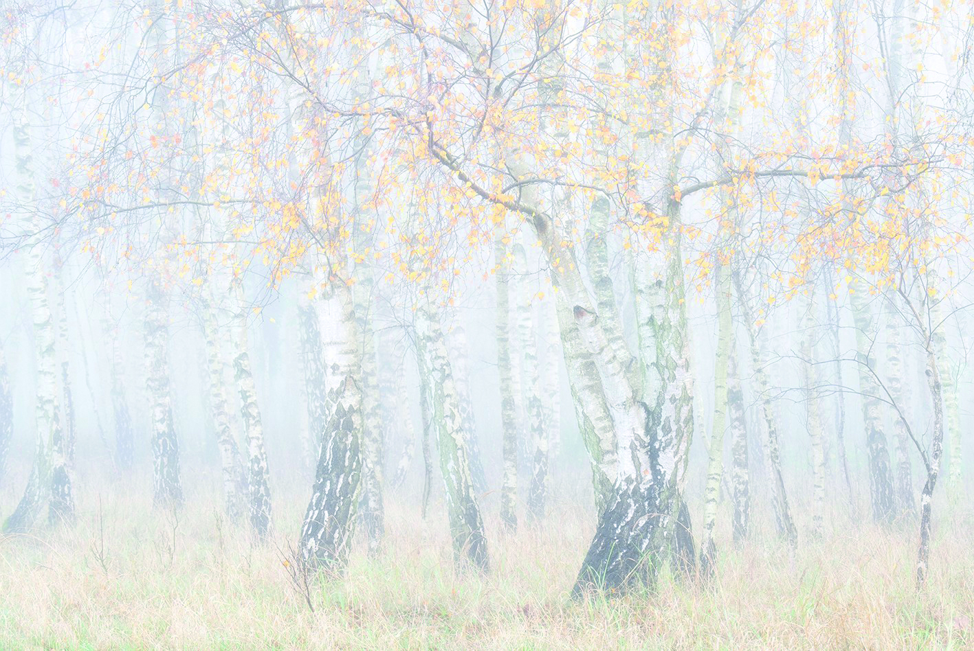 <b>Eine eigene Bildsprache entwickeln</b><br />08.10.2026 - 11.10.2026 2 Eine eigene Bildsprache entwickeln