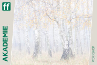 Eine eigene Bildsprache entwickeln