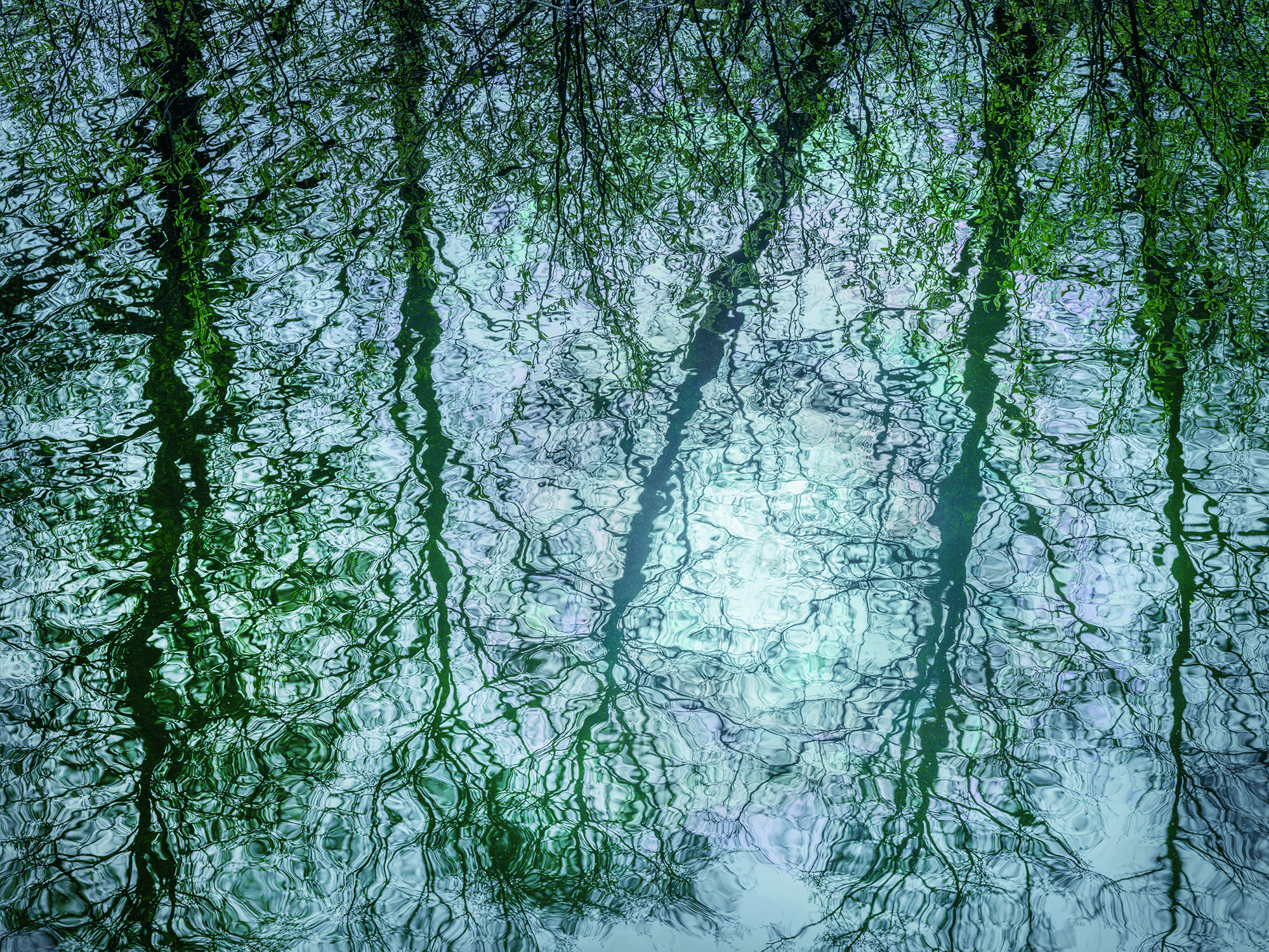 <b>Intimate Landscape</b><br />16.04.2026 - 19.04.2026 2 Intimate Landscape