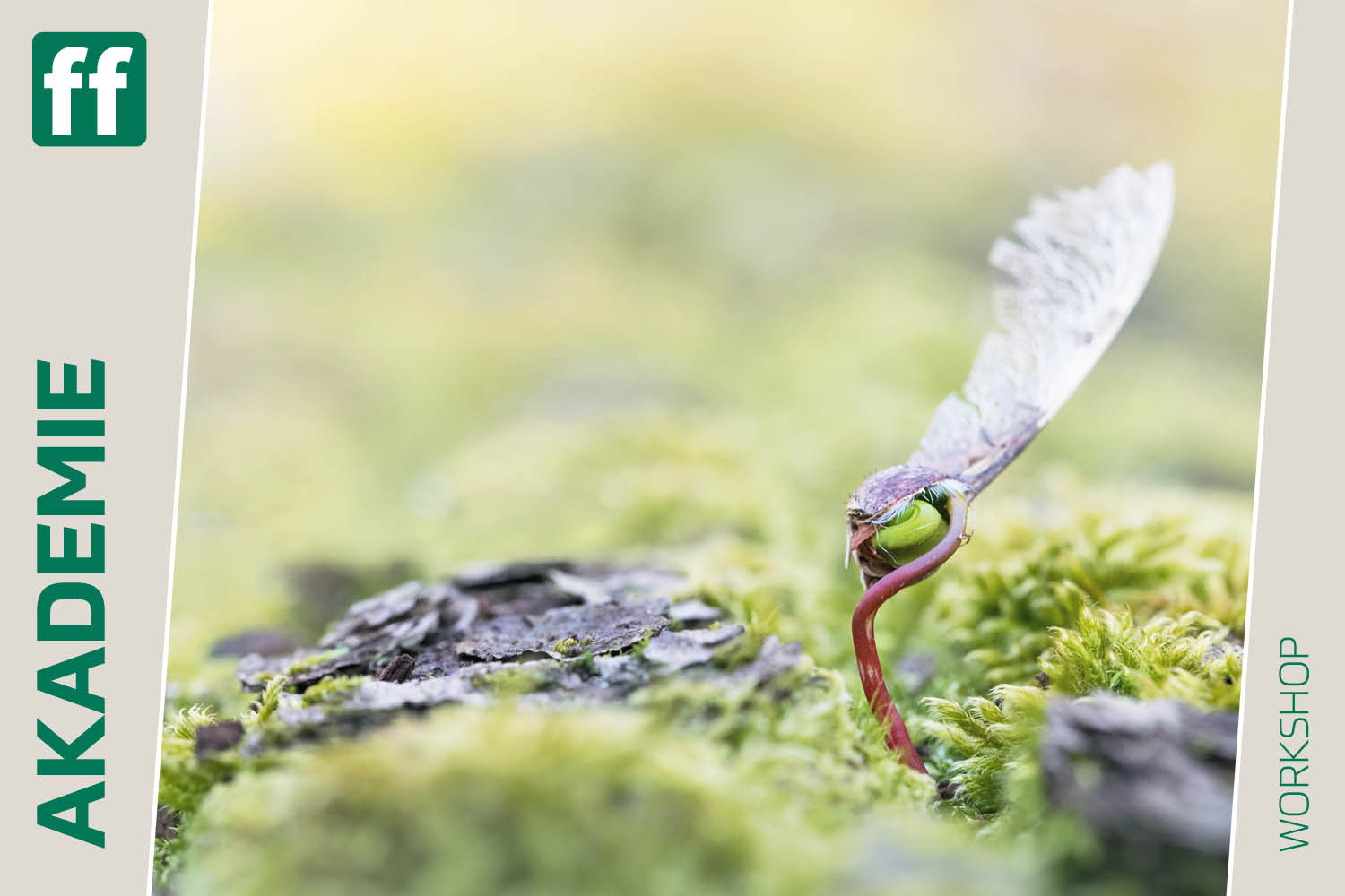 <b>Totholz ist Leben</b><br />15.05.2026 - 17.05.2026 1 Totholz ist Leben